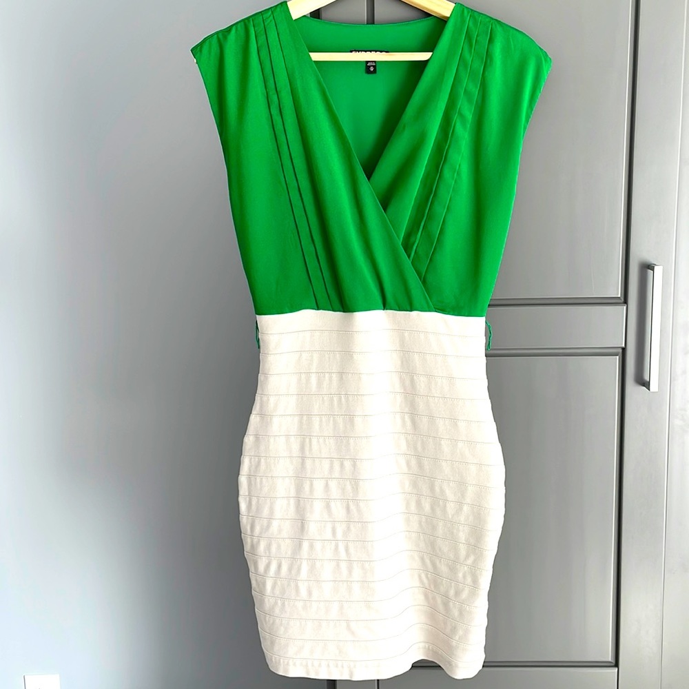 EXPRESS Bodycon Tan and Green Dress